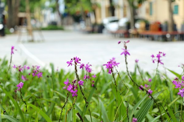 Vườn hoa công viên hiện đại với mô hình xe đạp công cộng đầu tiên của Thủ đô - Anh 6