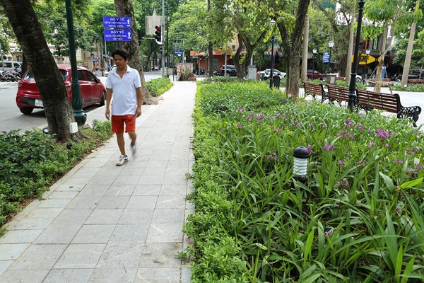 Vườn hoa công viên hiện đại với mô hình xe đạp công cộng đầu tiên của Thủ đô - Anh 8