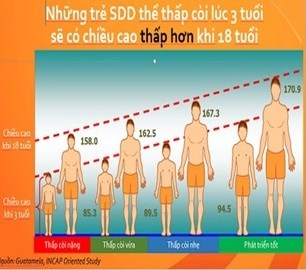Bệnh viện Thể thao Việt Nam khám, tư vấn dinh dưỡng và dự báo chiều cao cho trẻ - Anh 2