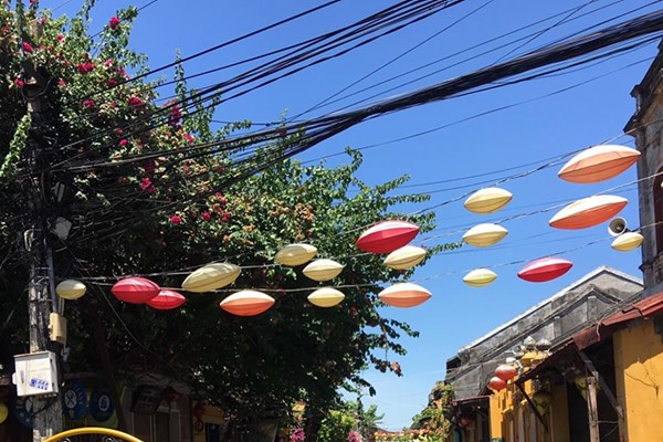 Quảng Nam: Từ ngày 29.7, tạm dừng các tour du lịch đến từ các vùng có dịch - Anh 1