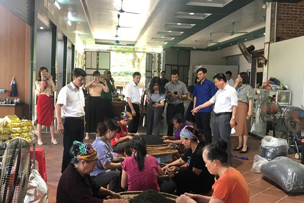 Kiểm tra thực hiện Phong trào TDĐKXDĐSVH tại Thái Nguyên: Nhiều mô hình sáng tạo - Anh 7