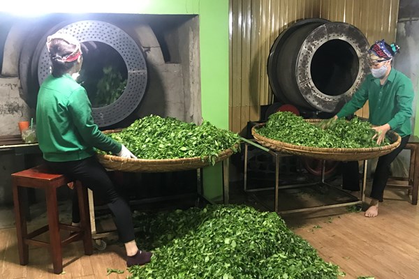 Kiểm tra thực hiện Phong trào TDĐKXDĐSVH tại Thái Nguyên: Nhiều mô hình sáng tạo - Anh 10