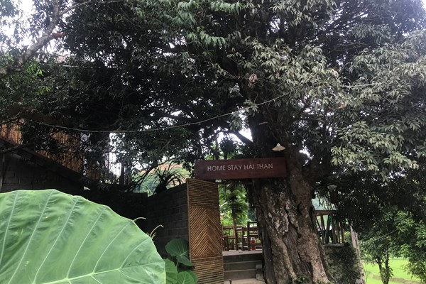 Kiểm tra thực hiện Phong trào TDĐKXDĐSVH tại Hòa Bình: Các giá trị văn hóa truyền thống là “điểm tựa” cho sự phát triển - Anh 7