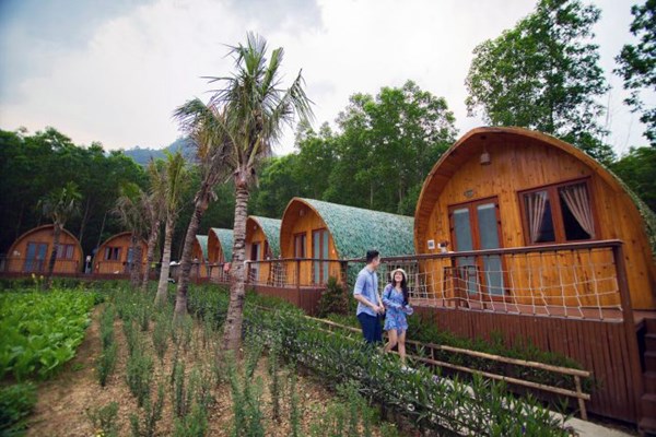 Cần hoàn thiện khung pháp lý cho mô hình Farmstay - Anh 1