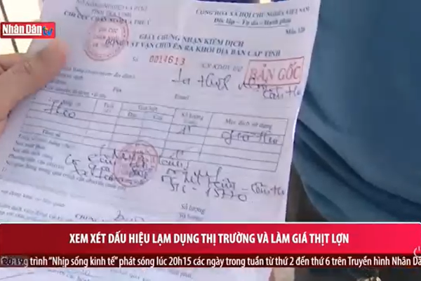 Xem xét dấu hiệu lạm dụng thị trường và làm giá thịt lợn - Anh 1