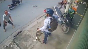 Bức xúc với hành vi trộm chó dã man - Anh 1