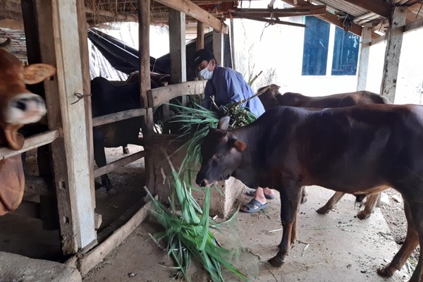 Chuyện “bao đồng” ở vùng cách ly - Anh 3