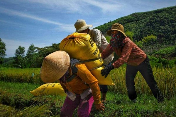 Chuyện “bao đồng” ở vùng cách ly - Anh 1