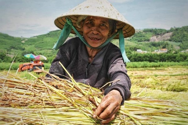 Chuyện “bao đồng” ở vùng cách ly - Anh 2
