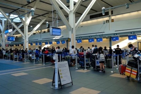 Thêm 340 công dân Việt Nam từ Canada về nước an toàn - Anh 2