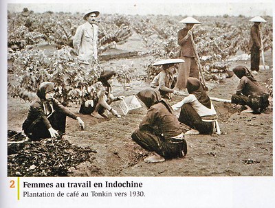 Chuyện kỳ thú về biệt thự trên núi Ba Vì (Bài 2): Chủ nhân đầu tiên của ngôi biệt thự - Anh 4