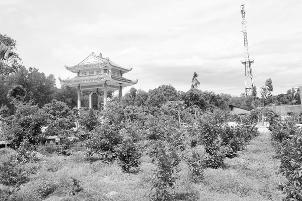 Đừng làm như thế ở nghĩa trang liệt sĩ - Anh 1