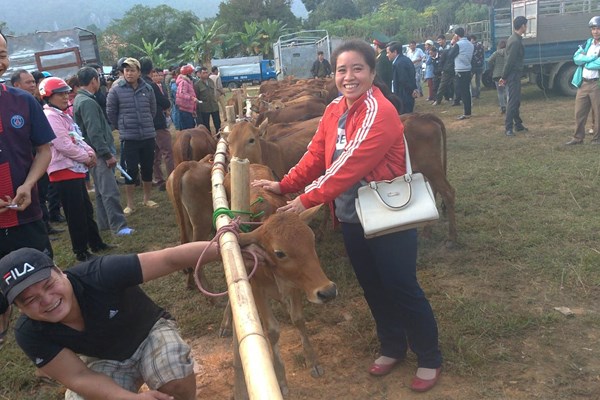 Huyện Bá Thước vươn mình thoát nghèo - Bài 1: Khi con bò là đầu cơ nghiệp - Anh 1