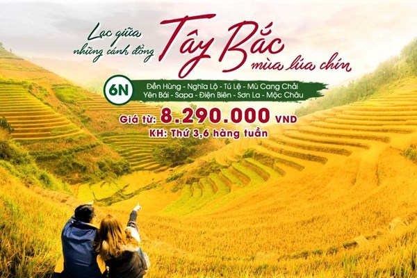 Chuẩn bị cho việc hồi phục du lịch lần thứ 2 trong năm - Anh 4