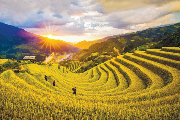 Lên Mù Cang Chải, ngắm đệ nhất ruộng bậc thang Việt Nam - Anh 1