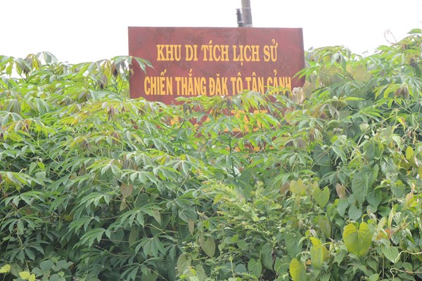 Di tích quốc gia đặc biệt: Chưa nhận được sự quan tâm đặc biệt! - Anh 1