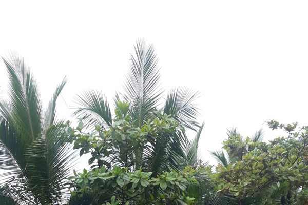 Bão số 5: Hơn 12.000 ngư dân Quảng Nam, Quảng Ngãi còn ở ngoài khơi - Anh 2