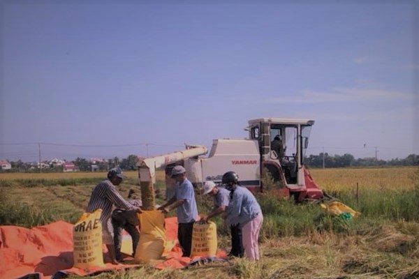 Bão số 5: Hơn 12.000 ngư dân Quảng Nam, Quảng Ngãi còn ở ngoài khơi - Anh 3