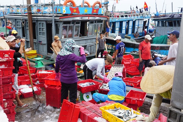 TT-Huế: Lên phương án chi tiết, chủ động ứng phó bão số 5 - Anh 2