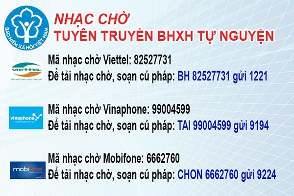 Tuyên truyền BHXH tự nguyện qua nhạc chờ trên điện thoại di động - Anh 1