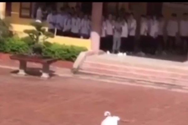 Về clip học sinh bị bảo vệ đánh dã man trong sân trường:  Nhà trường chưa nói hết sự thật! - Anh 2