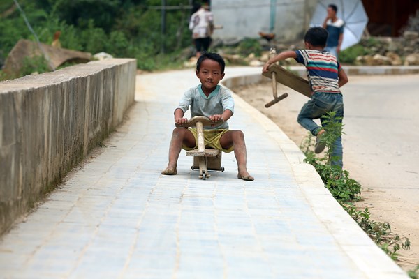 Ngắm nhìn những 