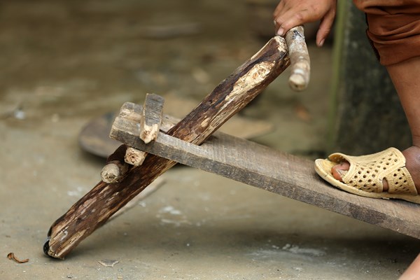 Ngắm nhìn những 