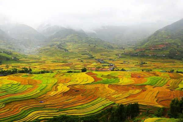Bộ trưởng Nguyễn Ngọc Thiện: Các chính sách kích cầu du lịch, dịch vụ phải được cân nhắc kỹ lưỡng - Anh 4