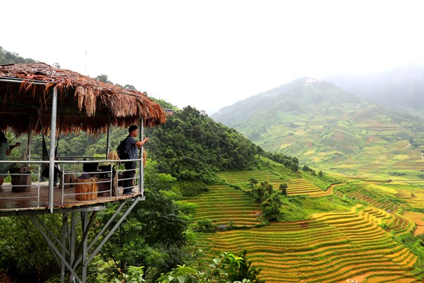 Bộ trưởng Nguyễn Ngọc Thiện: Các chính sách kích cầu du lịch, dịch vụ phải được cân nhắc kỹ lưỡng - Anh 5