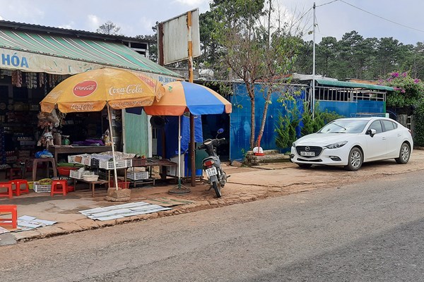 Đà Lạt: Những người giữ rừng làm nhà ở …trên đất rừng ? - Anh 2