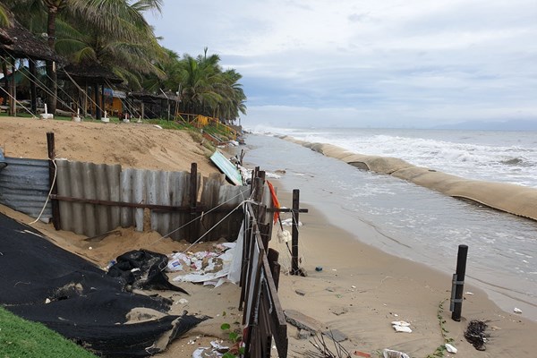 Bãi biển đẹp nhất châu Á ở Hội An lại tan hoang - Anh 1