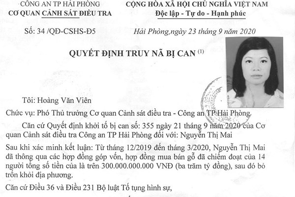 Truy nã một nữ giám đốc chiếm đoạt 300 tỉ đồng - Anh 1