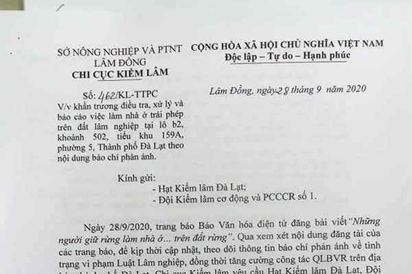 Khẩn trương điều tra xử lý việc làm nhà ở trái phép trên đất lâm nghiệp - Anh 2