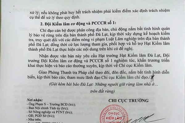 Khẩn trương điều tra xử lý việc làm nhà ở trái phép trên đất lâm nghiệp - Anh 3