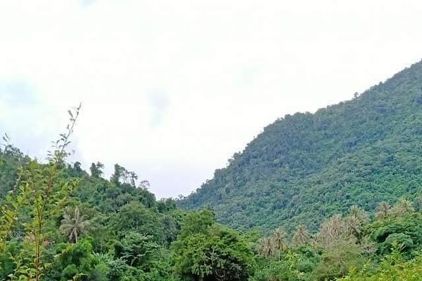 Nghệ An: Lật xe xuống vực, ba giáo viên vùng cao gặp nạn - Anh 1