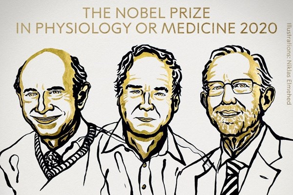 Nobel Y học 2020 vinh danh nghiên cứu về virus viêm gan C - Anh 1