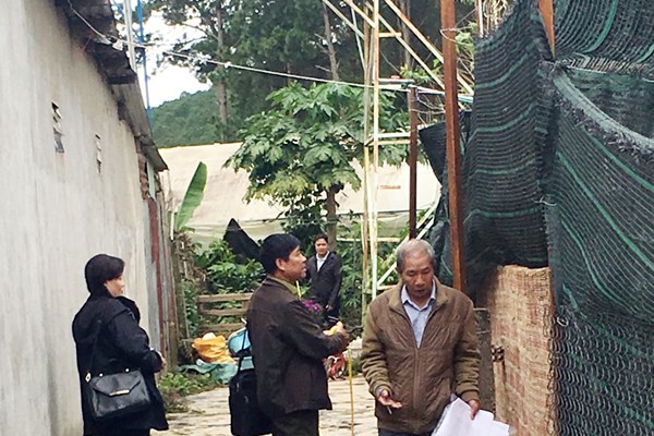 Đất rừng ko trả lại rừng: 18 cây thông không còn, 9 hộ xây nhà ở - Anh 1