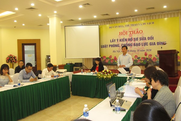Sửa đổi Luật Phòng, chống bạo lực gia đình là cấp thiết - Anh 1