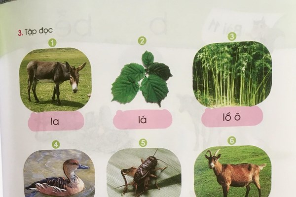 Tiếp thu, điều chỉnh nội dung sách giáo khoa môn Tiếng Việt lớp 1 của bộ sách Cánh Diều - Anh 4