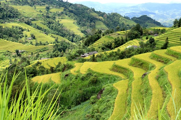 An toàn rồi, đi du lịch thôi - Anh 1