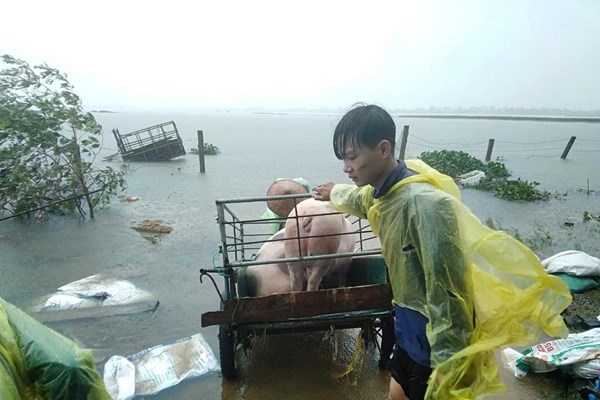 Gồng mình chạy lũ - Anh 9