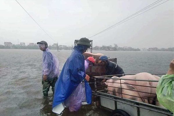 Gồng mình chạy lũ - Anh 10