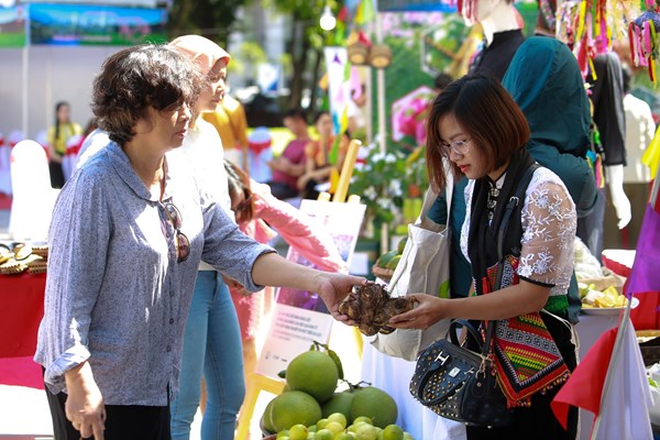 Dua Son La tro thanh diem den an toan, hap dan vung Tay Bac - Anh 3