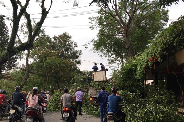 Quảng Nam: Khẩn trương chằng chống nhà cửa, sơ tán dân, triển khai các phương án ứng phó bão số 9 - Anh 3