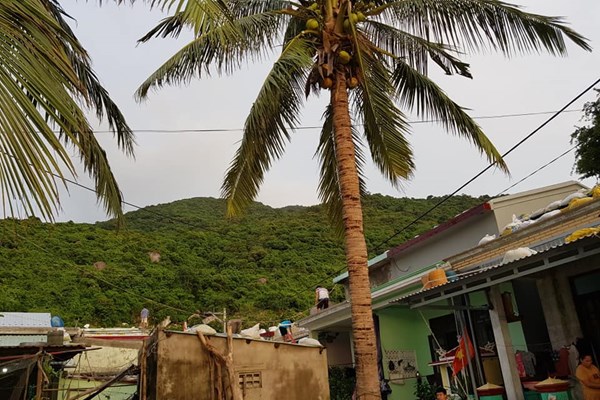 Quảng Nam: Đã sơ tán gần 43 nghìn người dân tránh bão số 9 - Anh 2