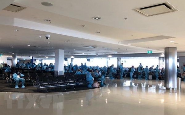 Đưa hơn 350 công dân Việt Nam từ Australia và New Zealand về nước - Anh 1