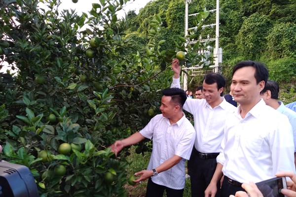 Thanh Hóa: Đẩy mạnh ứng dụng khoa học - công nghệ vào sản xuất - Anh 1