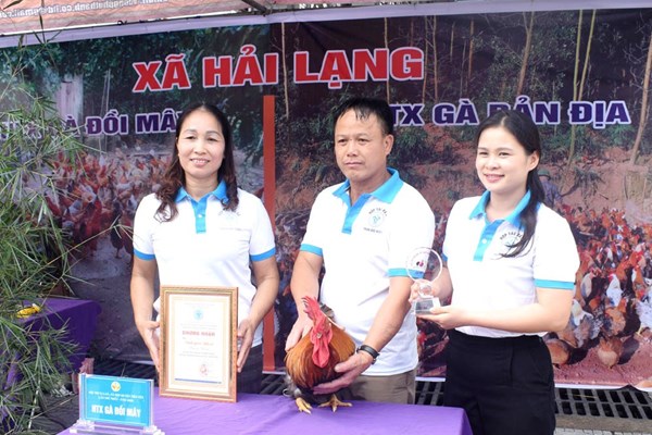 Hội thi... vua gà - Anh 3