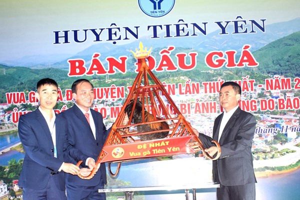 Hội thi... vua gà - Anh 2