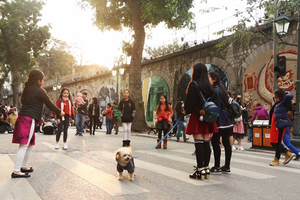 Thẩm mỹ không gian công cộng ở Việt Nam: Bị chê nhiều hơn là... khen - Anh 2